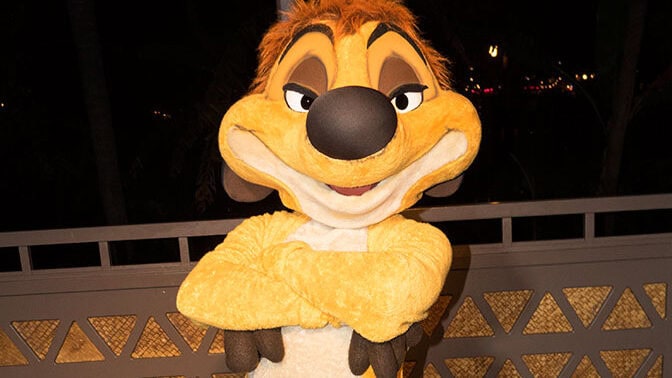 Disney Vacation Club Moonlight Madness 2017 Timon