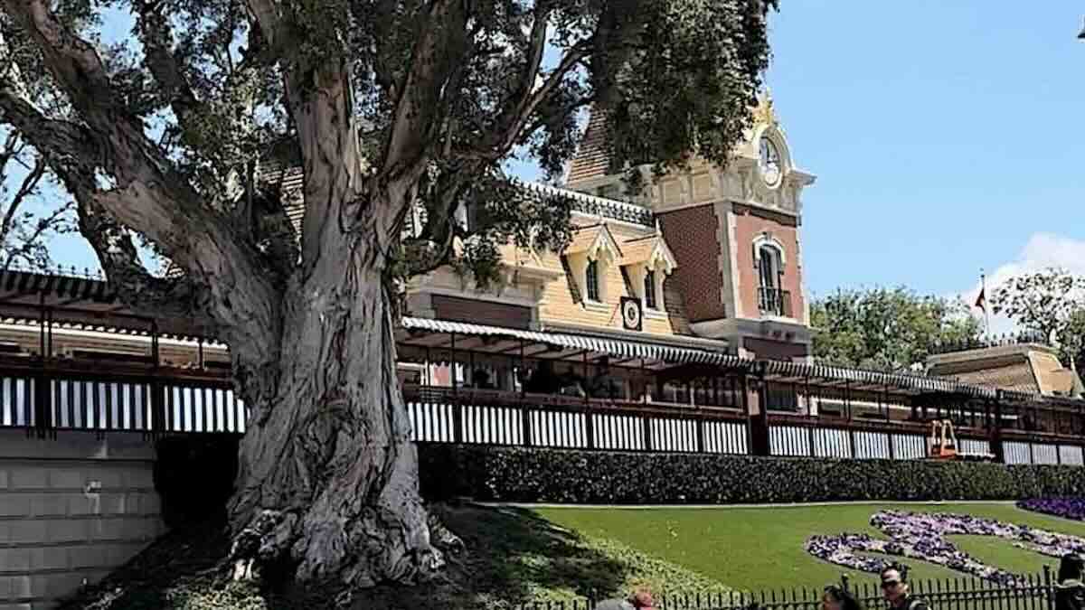 NEWS: Disney Keeps Promise To End Park Hopping Restrictions