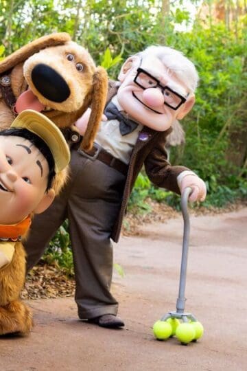 Animal Kingdom Attraction Now Blocked to Select Guests