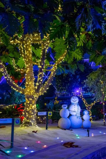 Disney Revelas Dates for EPCOT International Festival of the Holidays