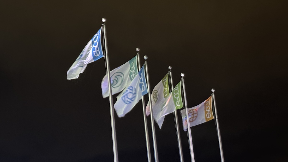 Epcot flags