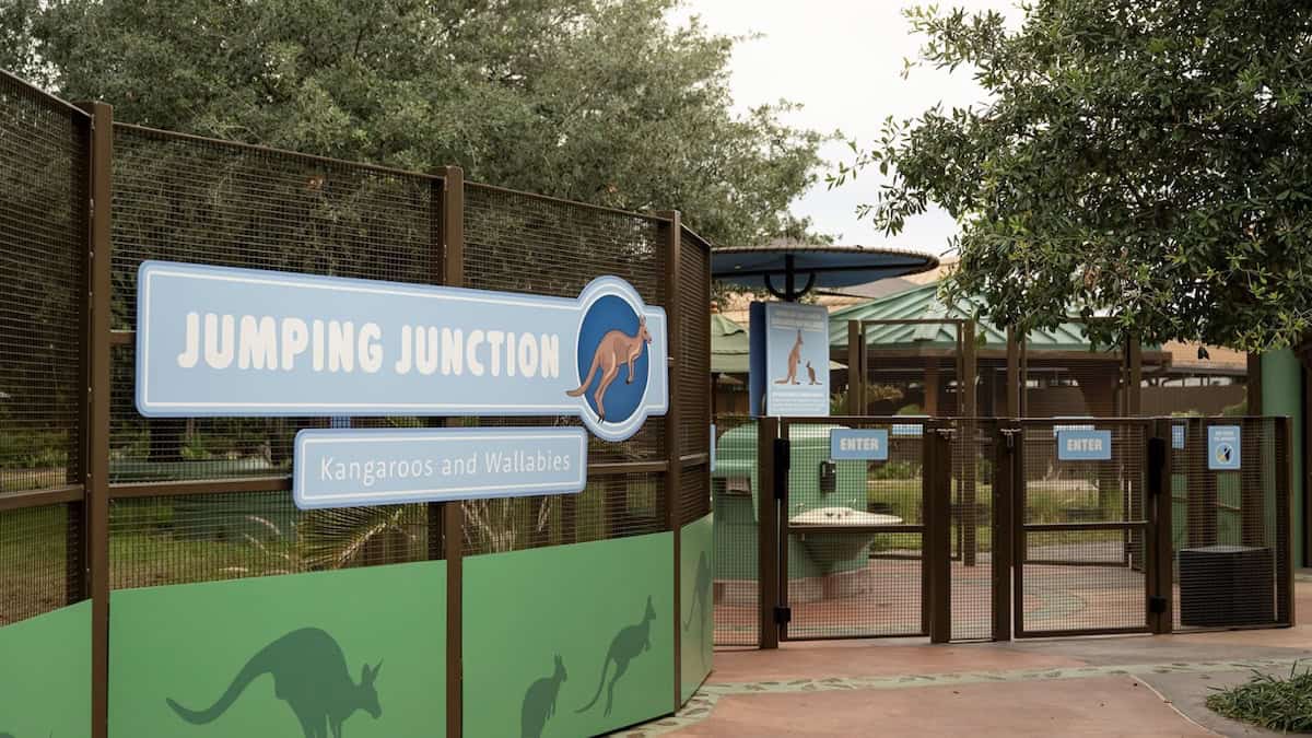 Jumping Junction
