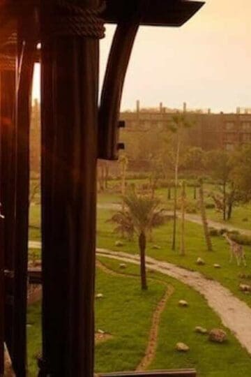 NEWS- Child Enters Animal Enclosure At Animal Kingdom Lodge