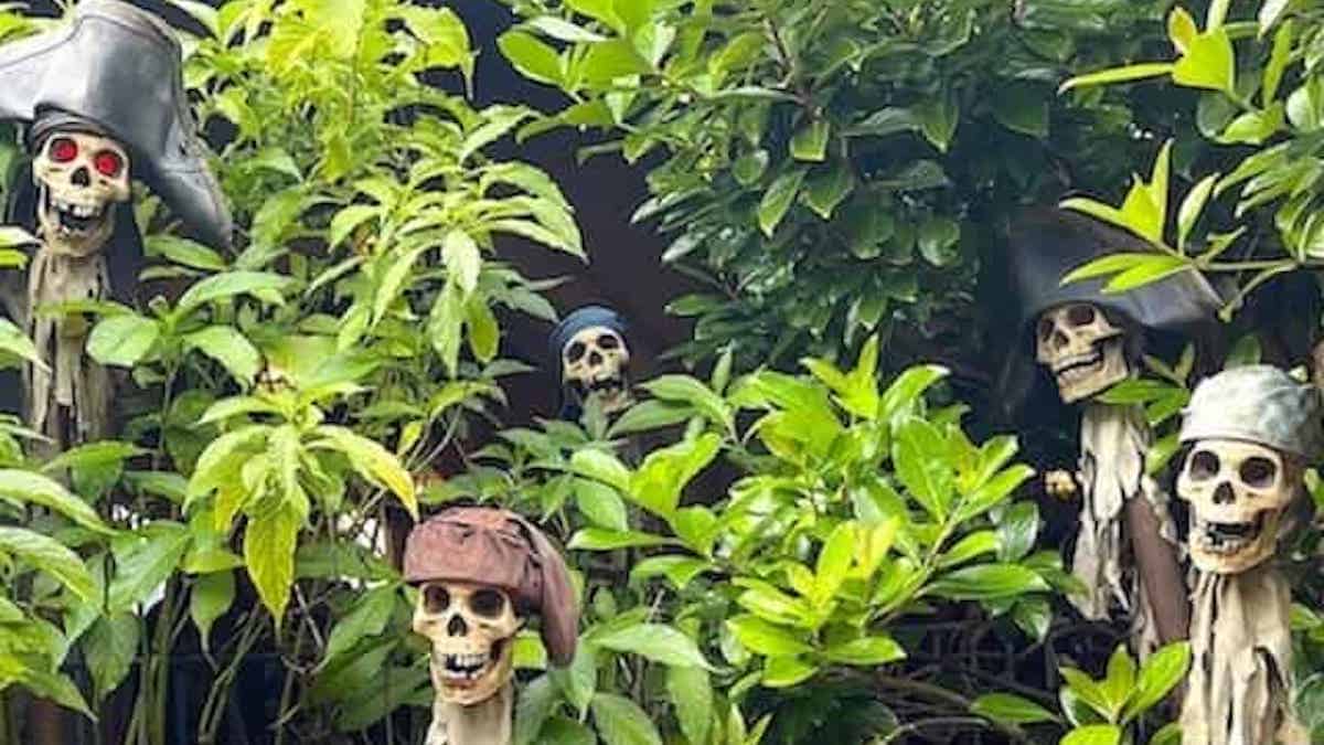 New Captain Jack Sparrow Experience at Disney World