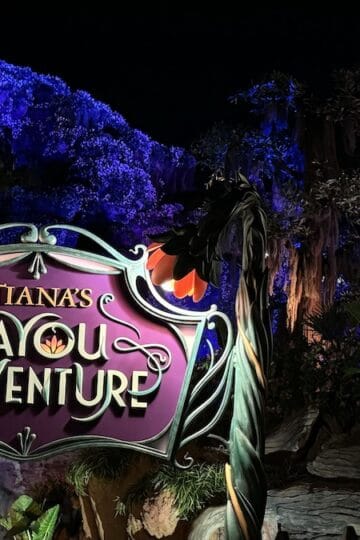 Tiana's Bayou Adventure Shuts Down After Guest Leaps From Ride