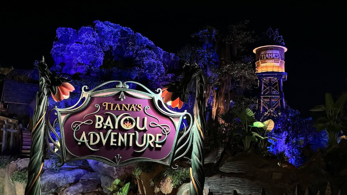 Tiana's Bayou Adventure Shuts Down After Guest Leaps From Ride
