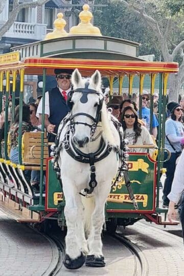 Disney Park Set to Remove Main Street Horses