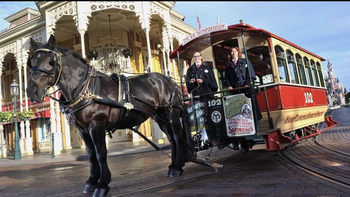 Main Street horses DL Paris