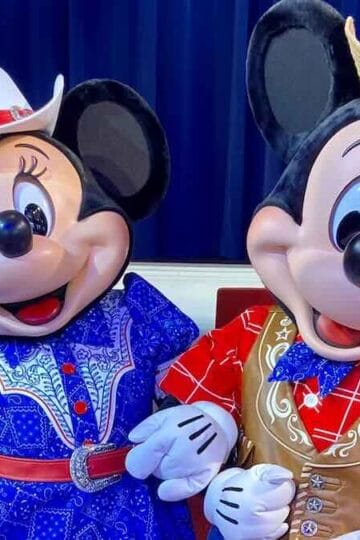 Disney Shares A Sneak Peek At This Exclusive Character Meet