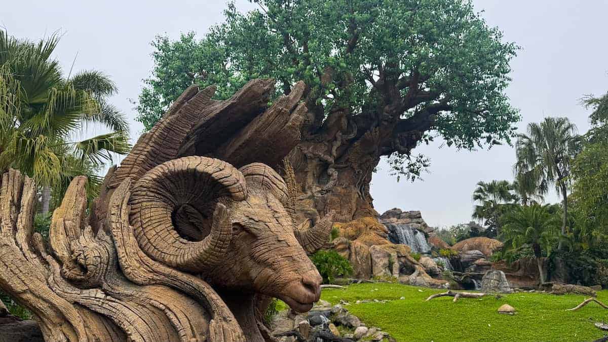 Don't Forget About Animal Kingdom's Third New Attraction