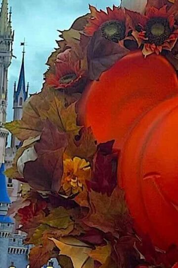 Fall Has Started To Arrive At The Magic Kingdom