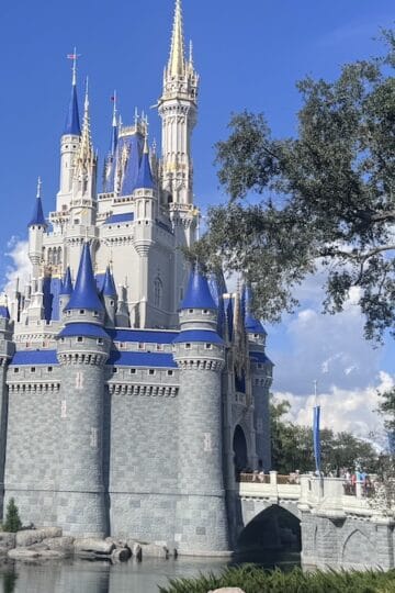 Extreme Warning Now Issued at Disney World