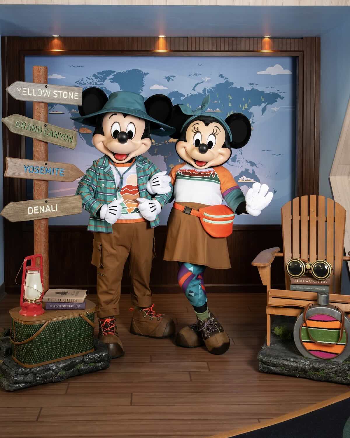mickey and minnie dvc meet