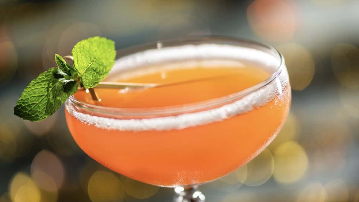 Hurly Burley Drinks