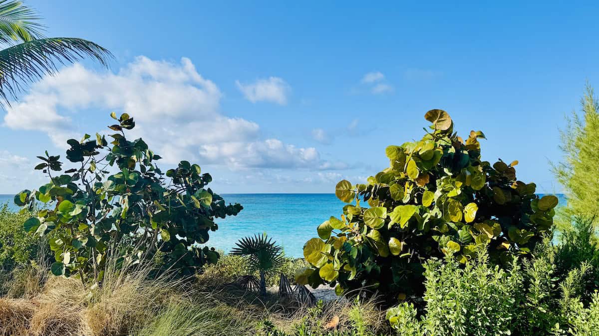Man Indicted for Disney Cruise Bomb Threat