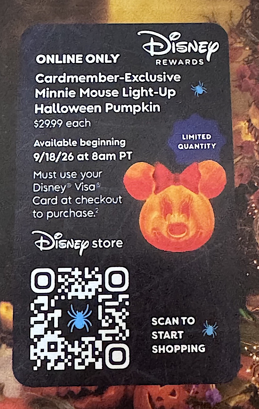 Minnie Mouse visa discount