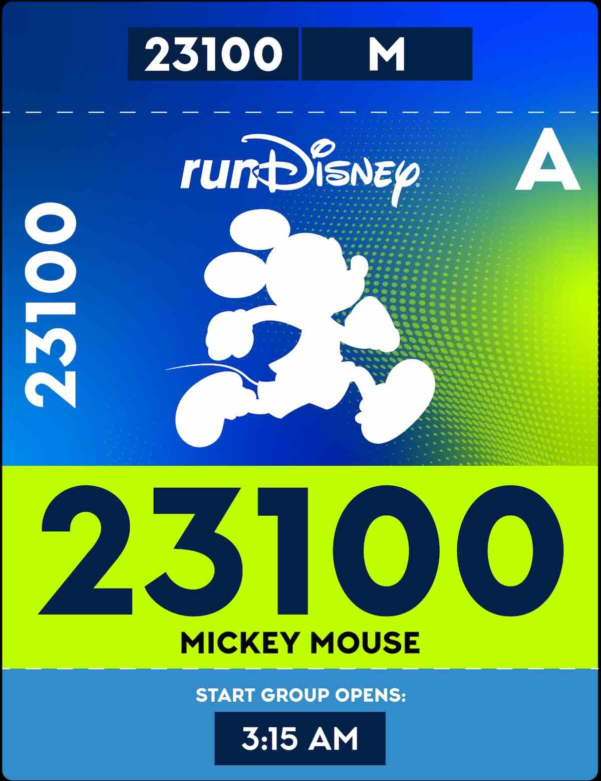 rundisney bib