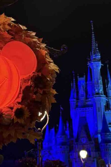 Disney Ran Out of One Freebie and Replaced It with Another