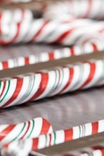 Disneyland's Famous Candy Canes To Return This Year!
