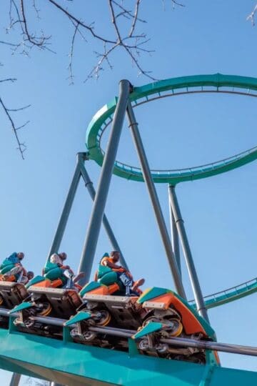 Fatal Roller Coaster Tragedy Shakes the Theme Park Community