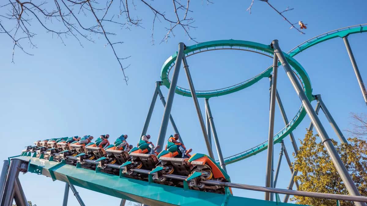 Fatal Roller Coaster Tragedy Shakes the Theme Park Community