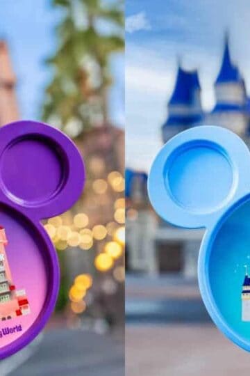 How to Order Disney World's New Viral Souvenir Plates